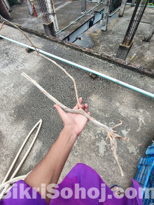 Aquarium Driftwood